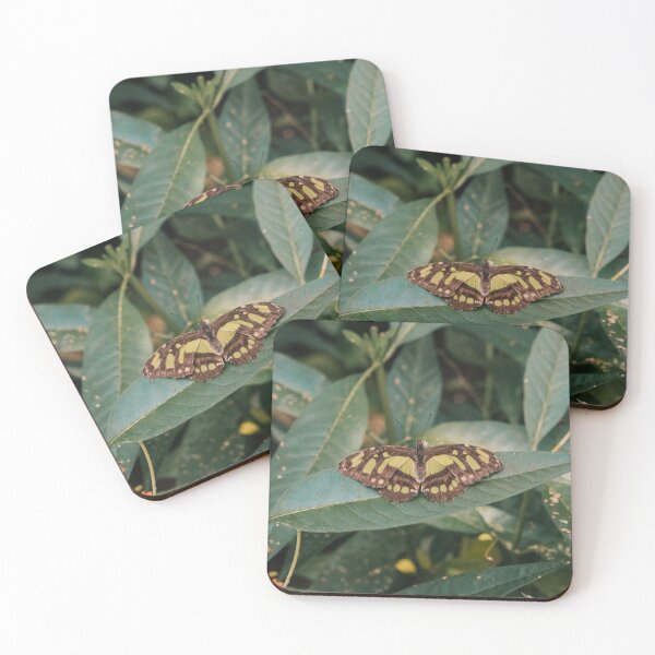 Item preview, Butterfly Museum in Copenhagen designed and sold by Where the pigeons sleep.