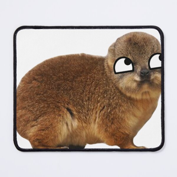 Item preview, rock hyrax with derp eyes  designed and sold by SillyLittleSnek.
