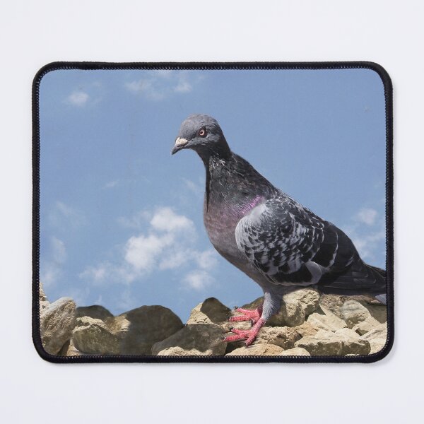 Item preview, Looking For Food designed and sold by heatherfriedman.