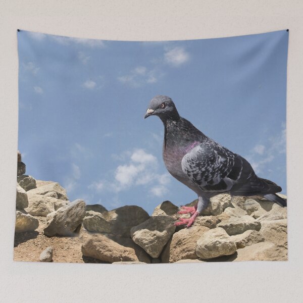 Item preview, Looking For Food designed and sold by heatherfriedman.