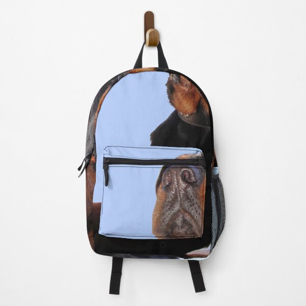 Item preview, Photograph Portrait Of A Handsome Male Rottweiler Dog designed and sold by taiche.