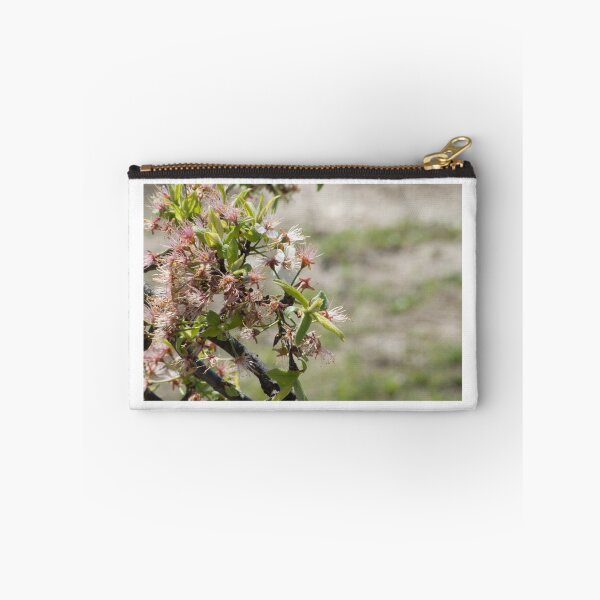 Item preview, Pretty & Clear designed and sold by Texanbratt.