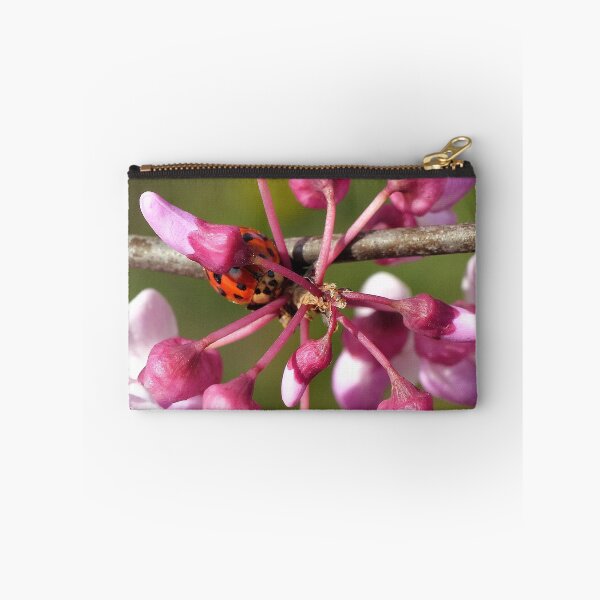 Item preview, Flowering Redbud with Ladybug designed and sold by Frankie Cat Photography.