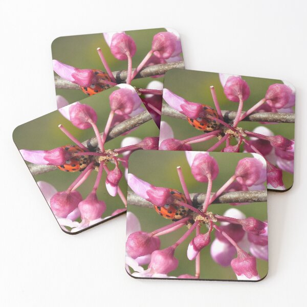 Item preview, Flowering Redbud with Ladybug designed and sold by Frankie Cat Photography.
