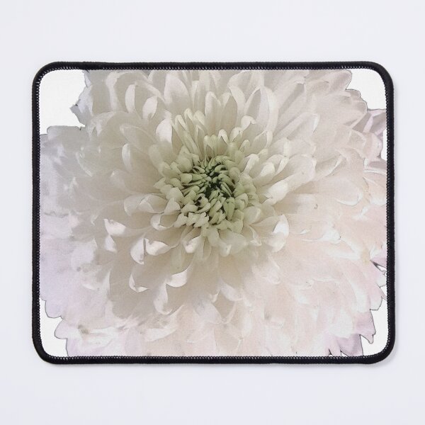 Item preview, White Chrysanthemum designed and sold by Blissfully-MK.