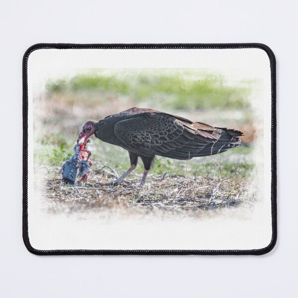 Item preview, Vulture Having a Snack designed and sold by CarolM.