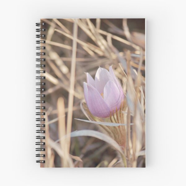 Item preview, Light Purple Spring Crocus Flower designed and sold by FeatherfallSTU.
