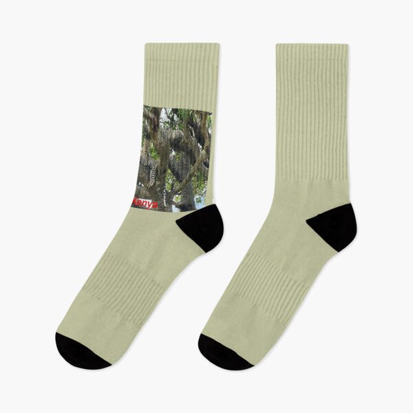 Item preview, Majestic Leopard in Mara National Reserve in Kenya designed and sold by annenambiro.