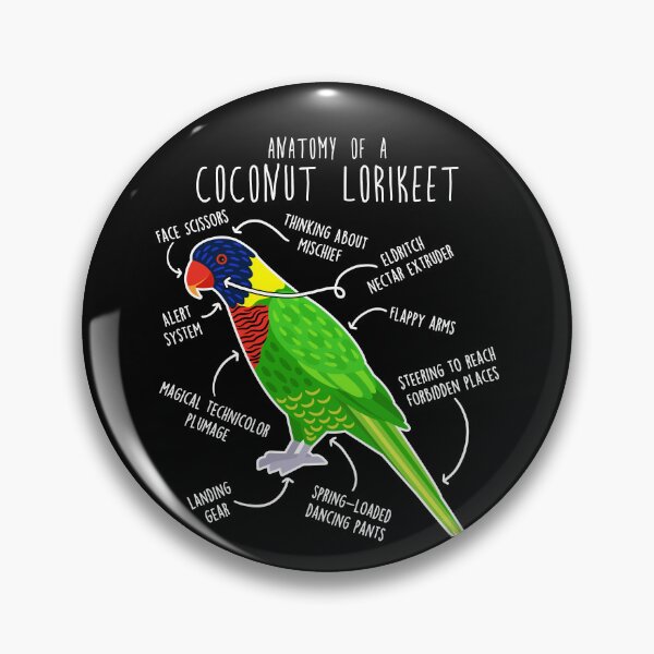 Item preview, Coconut Lorikeet Parrot Anatomy designed and sold by Clara Hollins.