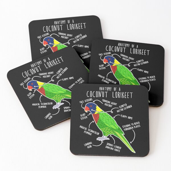 Item preview, Coconut Lorikeet Parrot Anatomy designed and sold by Clara Hollins.