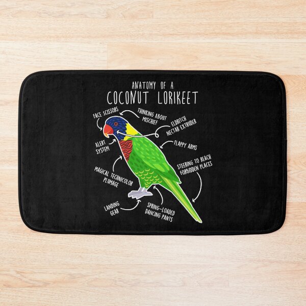 Item preview, Coconut Lorikeet Parrot Anatomy designed and sold by Clara Hollins.