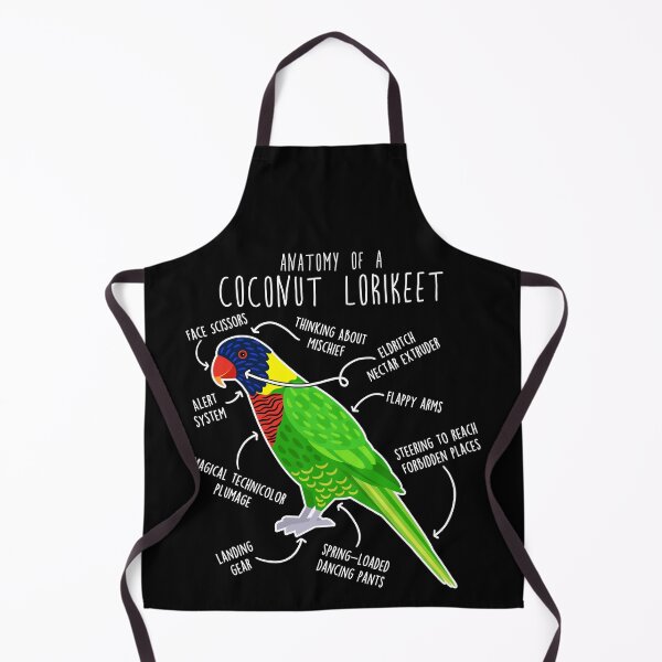 Item preview, Coconut Lorikeet Parrot Anatomy designed and sold by Clara Hollins.