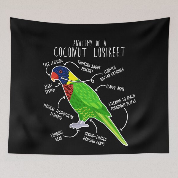 Item preview, Coconut Lorikeet Parrot Anatomy designed and sold by Clara Hollins.