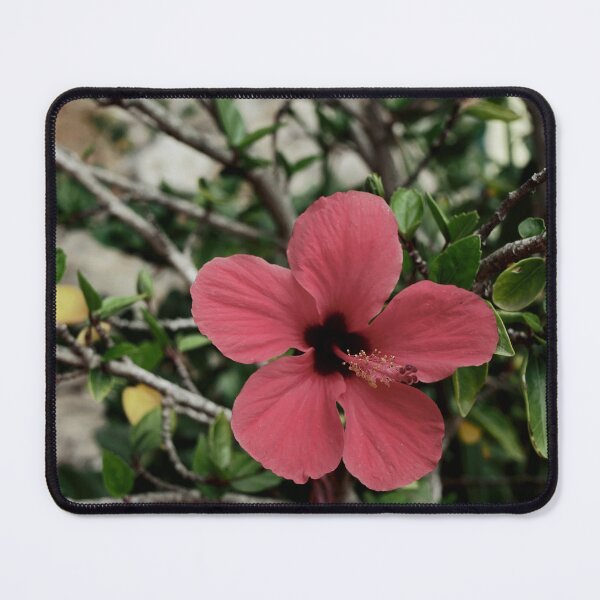 Item preview, Spain, Marimurtra designed and sold by rrroza.