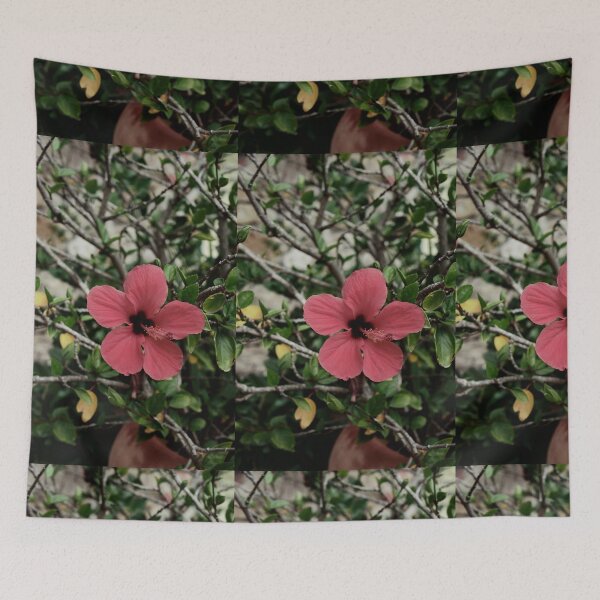 Item preview, Spain, Marimurtra designed and sold by rrroza.