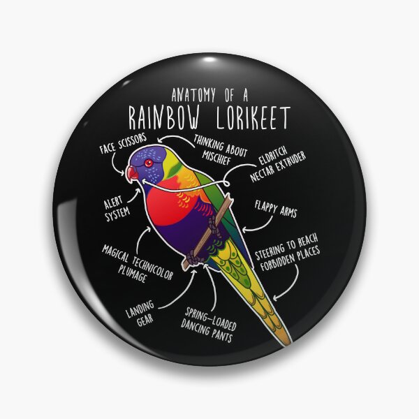 Item preview, Rainbow Lorikeet Parrot Anatomy designed and sold by Clara Hollins.