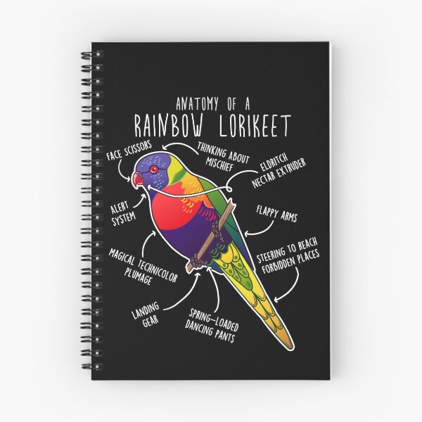 Item preview, Rainbow Lorikeet Parrot Anatomy designed and sold by Clara Hollins.