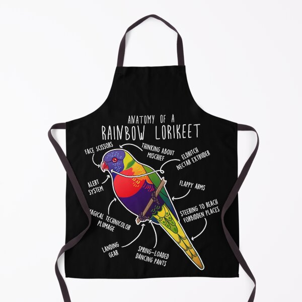 Item preview, Rainbow Lorikeet Parrot Anatomy designed and sold by Clara Hollins.
