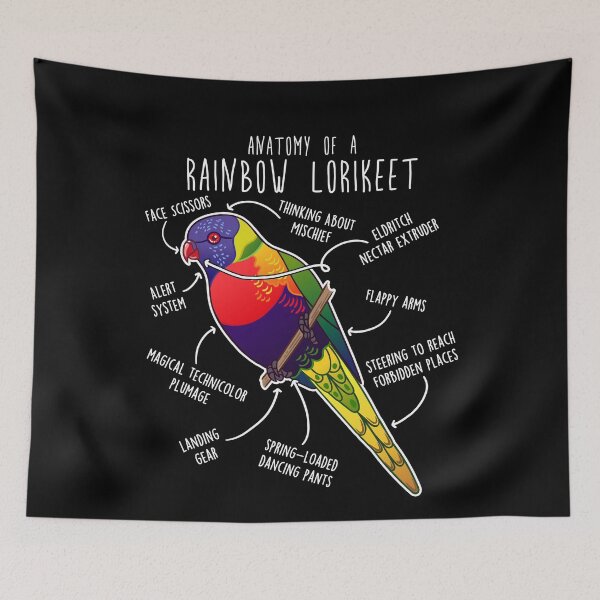 Item preview, Rainbow Lorikeet Parrot Anatomy designed and sold by Clara Hollins.