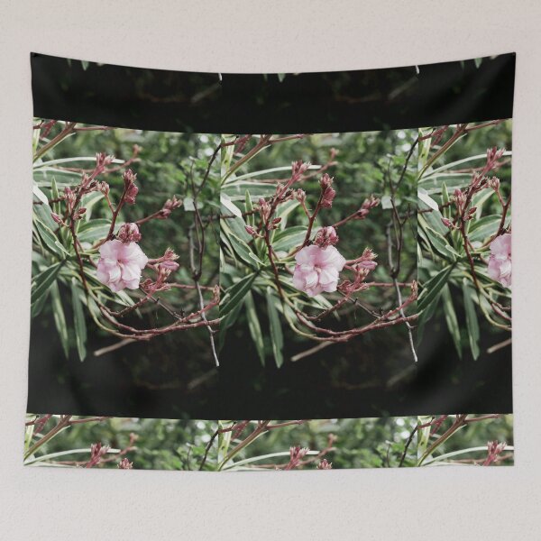 Item preview, Spain, Marimurtra designed and sold by rrroza.