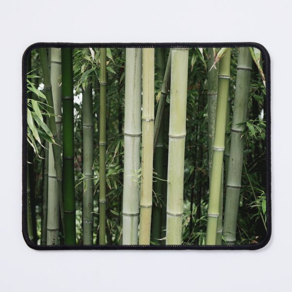 Item preview, Spain, botanical garden Marimurtra designed and sold by rrroza.