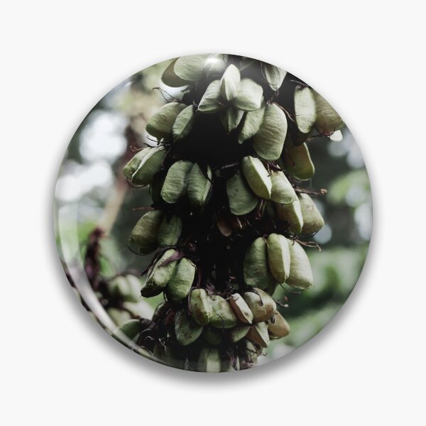 Item preview, Spain, Marimurtra botanical garden designed and sold by rrroza.