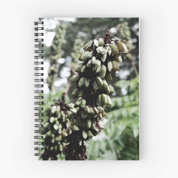 Item preview, Spain, Marimurtra botanical garden designed and sold by rrroza.