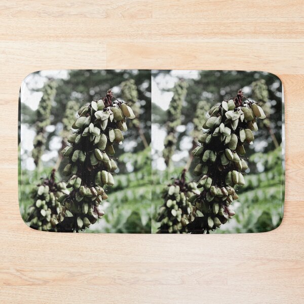 Item preview, Spain, Marimurtra botanical garden designed and sold by rrroza.