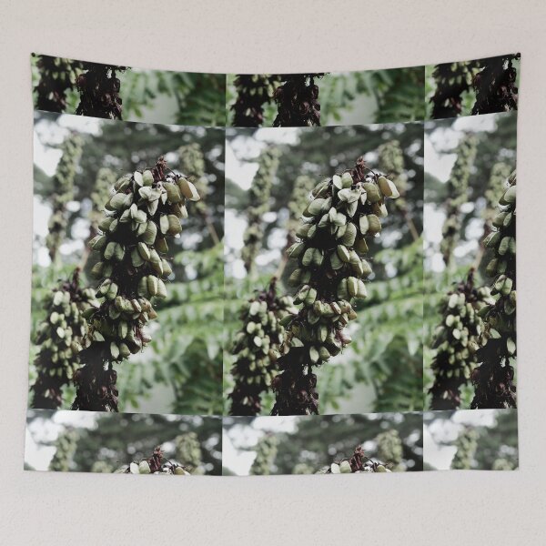 Item preview, Spain, Marimurtra botanical garden designed and sold by rrroza.