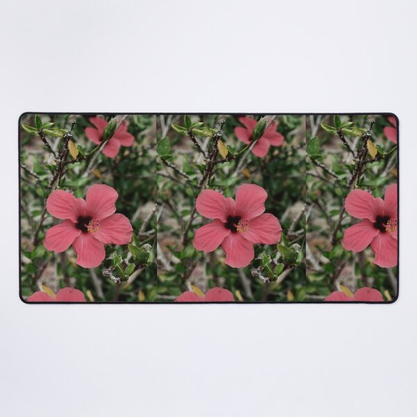 Item preview, Spain, botanical garden Marimurtra designed and sold by rrroza.