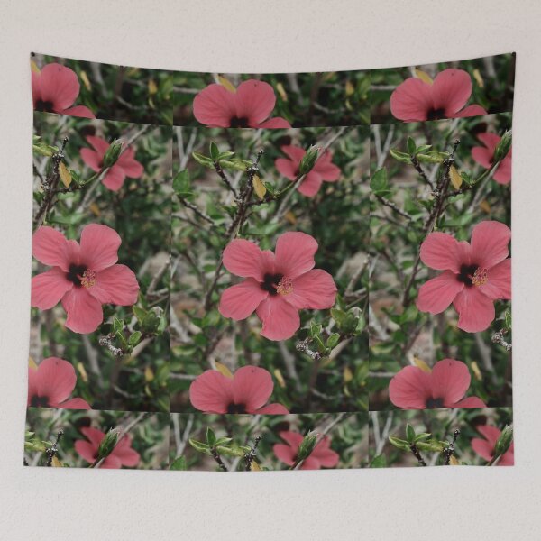 Item preview, Spain, botanical garden Marimurtra designed and sold by rrroza.
