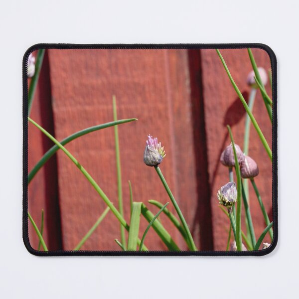 Item preview, Chives Ready to Bloom designed and sold by couragesings.
