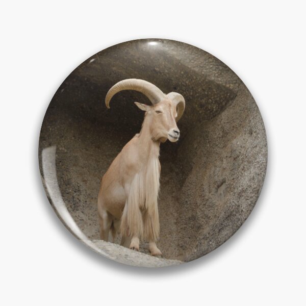 Item preview, Barbary Sheep designed and sold by elstoleno.