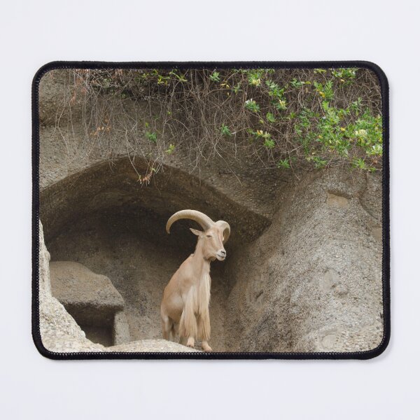 Item preview, Barbary Sheep designed and sold by elstoleno.