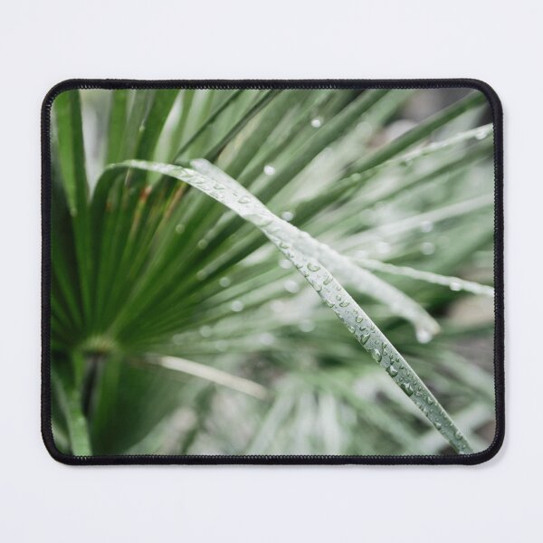 Item preview, water drops on blades of grass designed and sold by rrroza.