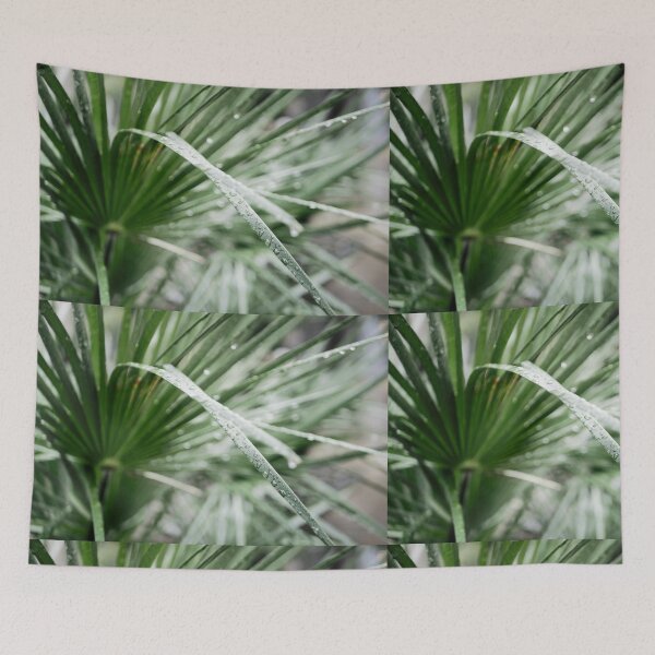 Item preview, water drops on blades of grass designed and sold by rrroza.
