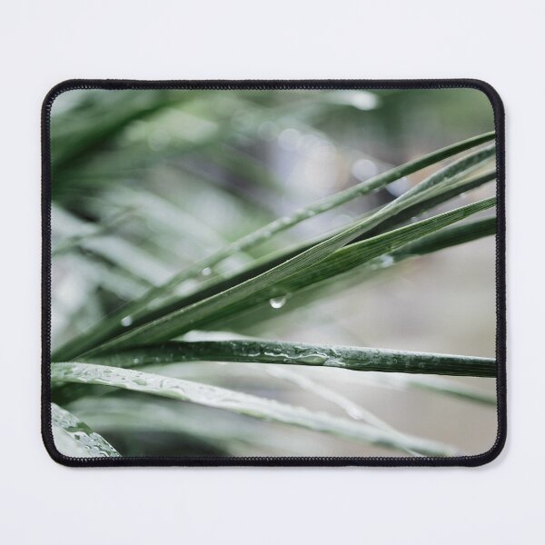 Item preview, water drops on blades of grass designed and sold by rrroza.