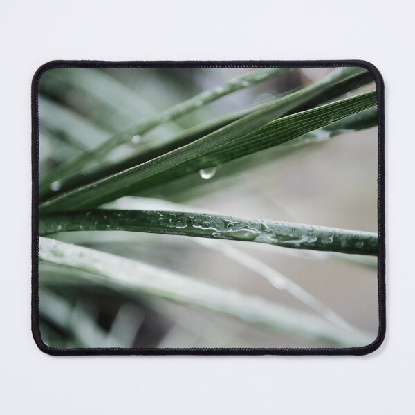 Item preview, water drops on blades of grass designed and sold by rrroza.