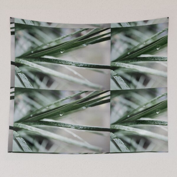 Item preview, water drops on blades of grass designed and sold by rrroza.