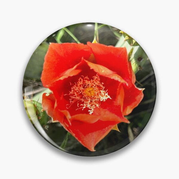 Item preview, Texas Red designed and sold by Gemini Dreaming.