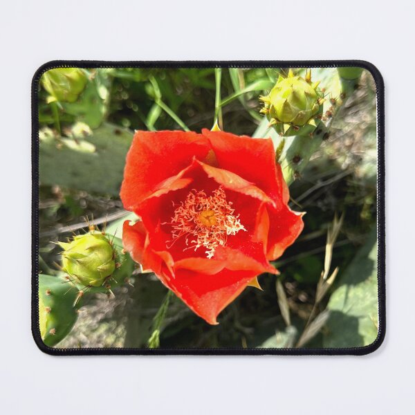 Item preview, Texas Red designed and sold by Gemini Dreaming.
