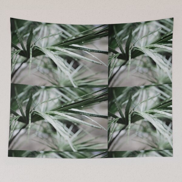 Item preview, water drops on blades of grass designed and sold by rrroza.