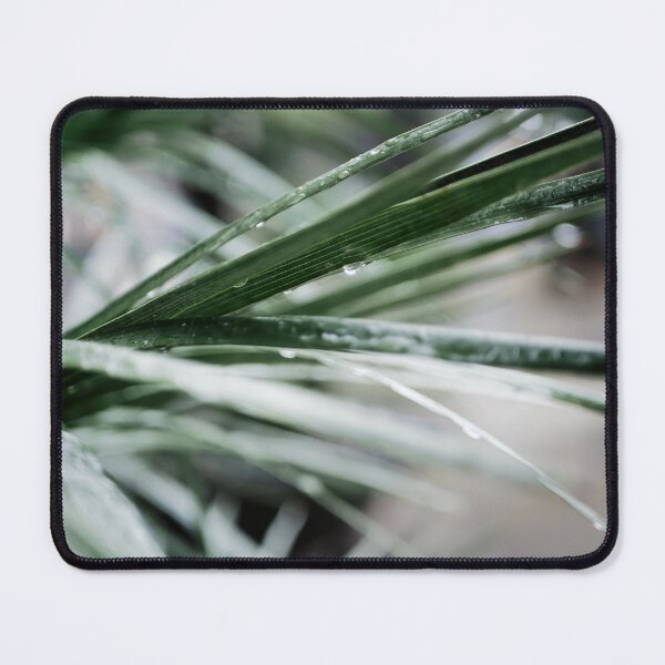 Item preview, water drops on blades of grass designed and sold by rrroza.