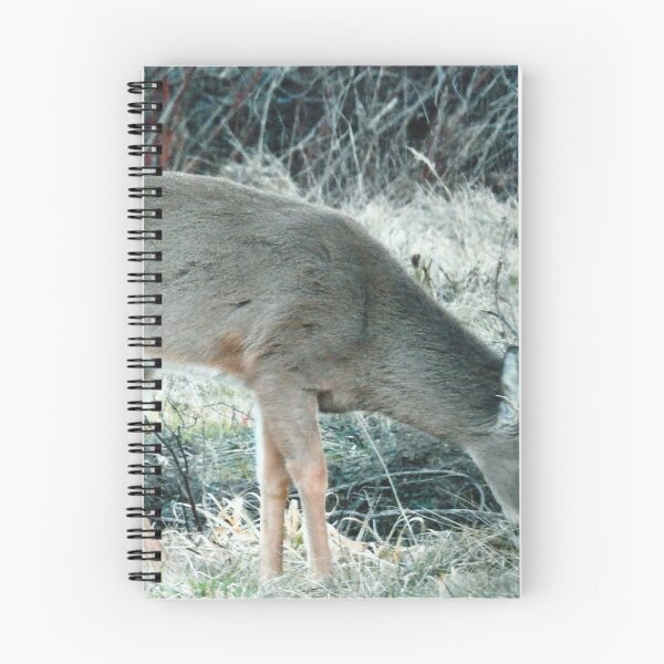 Item preview, A Nice Buck Eating Grass designed and sold by KaycysCreations.
