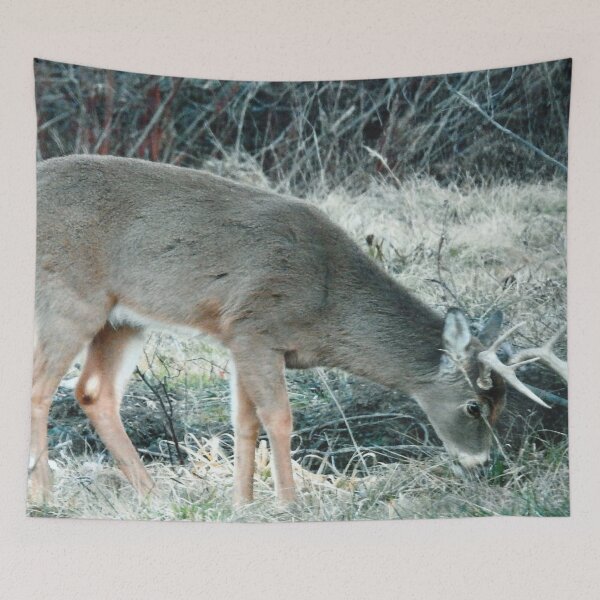 Item preview, A Nice Buck Eating Grass designed and sold by KaycysCreations.