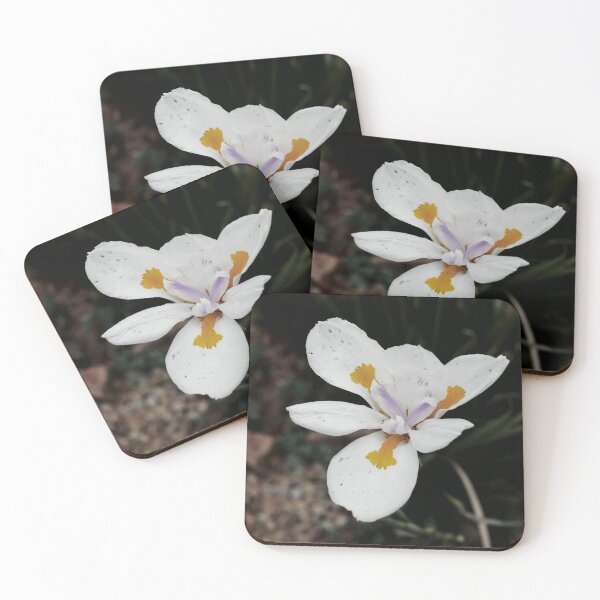 Item preview, Beautiful White Flower designed and sold by rrroza.