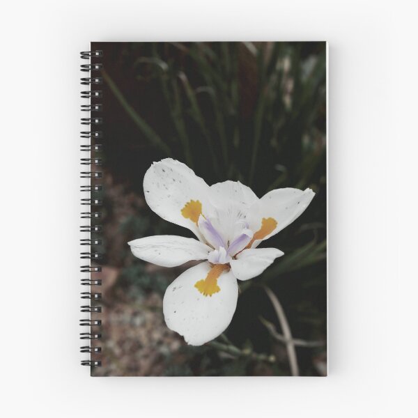 Item preview, Beautiful White Flower designed and sold by rrroza.