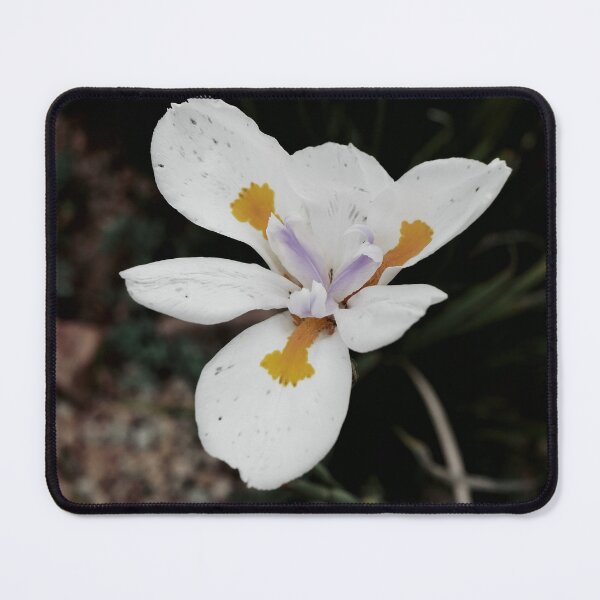 Item preview, Beautiful White Flower designed and sold by rrroza.
