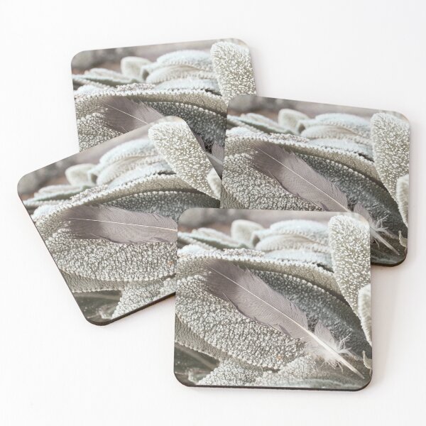Item preview, Gray Feather On Frost Covered Plant designed and sold by FeatherfallSTU.