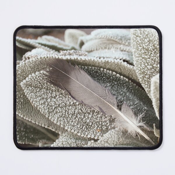 Item preview, Gray Feather On Frost Covered Plant designed and sold by FeatherfallSTU.
